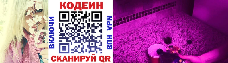 блэк спрут зеркало  Бор  Кодеиновый сироп Lean Purple Drank 