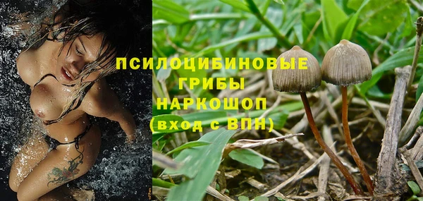ПСИЛОЦИБИНОВЫЕ ГРИБЫ Ладушкин