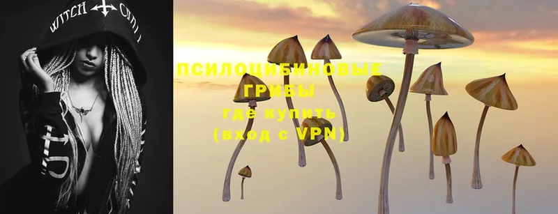 Псилоцибиновые грибы MAGIC MUSHROOMS  дарк нет Telegram  Бор 