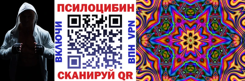 Псилоцибиновые грибы Psilocybe наркошоп Бор