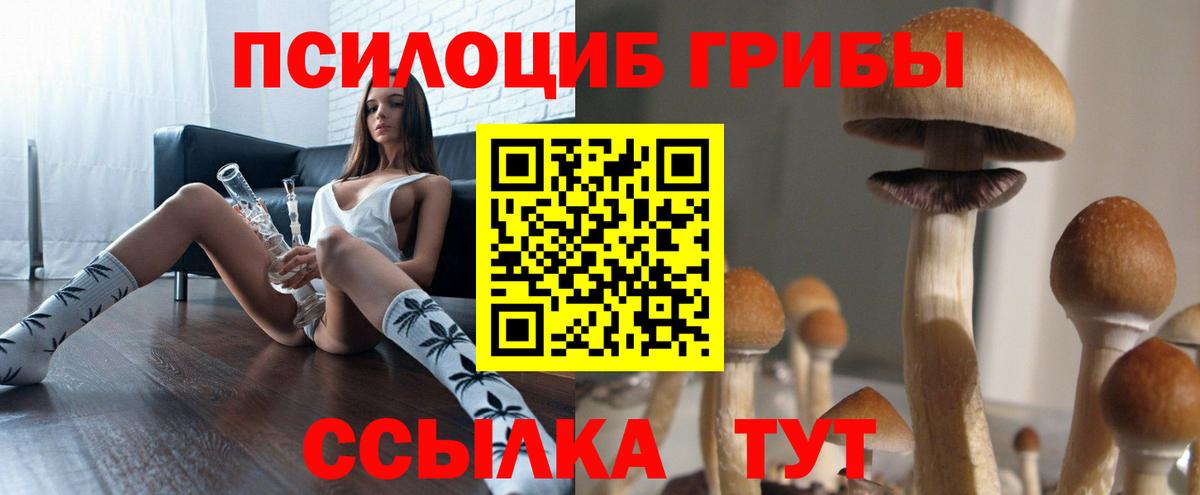 наркотики  Бор  Галлюциногенные грибы мицелий 