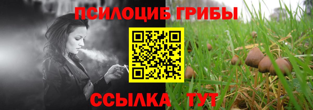Бор  Псилоцибиновые грибы Psilocybine cubensis  Вход с VPN  где найти наркотики  Галлюциногенные грибы MAGIC MUSHROOMS 