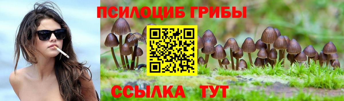 Галлюциногенные грибы Magic Shrooms Бор
